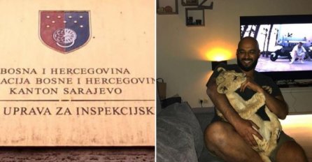 Inspekcija KS formirala predmet u vezi lava na Poljinama