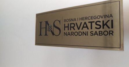 Iz HNS-a nezadovoljni Schmidtovom odlukom, okrivili “radikalne bošnjačke aktere”