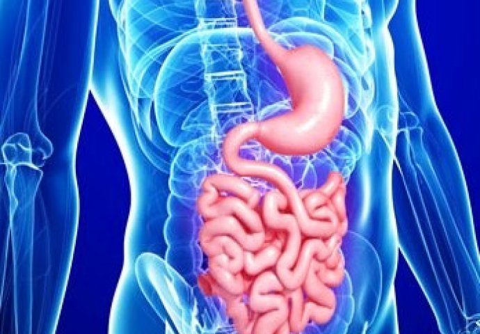 GASTROENTEROLOG OTKRIO KOJIH PET STVARI NIKAD NE BI JEO: Uopšte nisu ZDRAVE, ako ih uzmete RIZIKUJETE OVU BOLEST