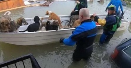 Bravo za bihaćke spasioce: U općem haosu nisu zaboravili ni životinje