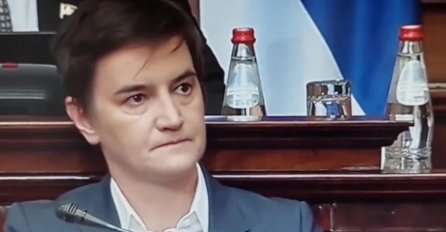 Oglasila se Ana Brnabić o hapšenju Severine na granici: EVO ŠTA JE PORUČILA