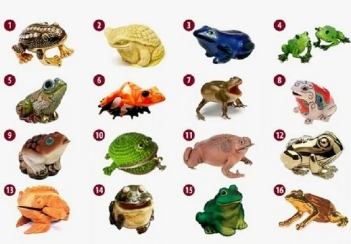 TEST LIČNOSTI: Izaberite jednu žabu i saznajte kako da se obogatite