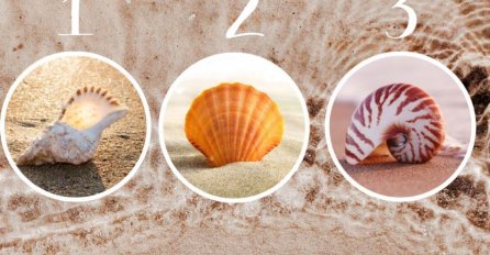 TEST - IZABERITE ŠKOLJKU SA SLIKE, A MI ĆEMO VAM OTKRITI TAJNU O VAMA:  Svima je pogodilo, provjerite