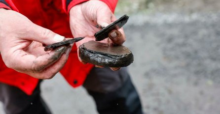 MJEŠTANI MALE OPŠTINE U SLAVONIJI U ŠOKU NAKON ŠTO SU OTKRILI NEPROCJENIVO BLAGO: Nadamo se da pod STARE DANE nećemo morati da se selimo