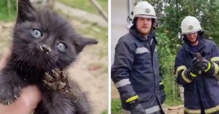 Baranjski vatrogasci spasili dvije male mačke iz dubokog bunara