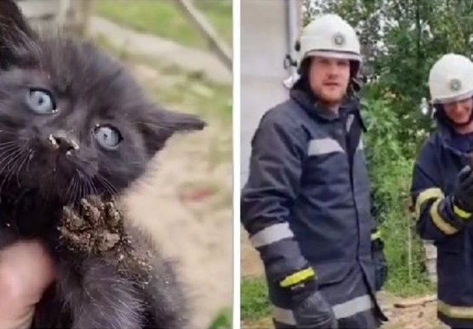 Baranjski vatrogasci spasili dvije male mačke iz dubokog bunara