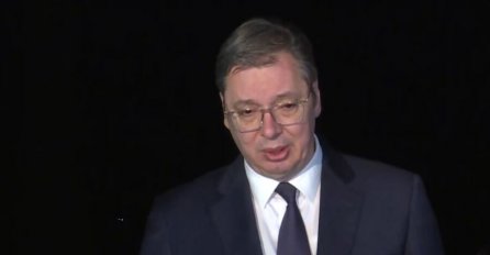Bivši kolega zatražio zaštitu “Vučićeve djece od njega samog”
