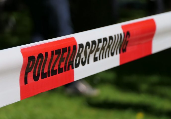 Austrija: Radnik iz BiH stradao u nesreći na radu, poklopilo ga drvo