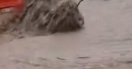 UŽASAVAJUĆI SNIMCI NEVREMENA! Bujica nosi automobile, upozorenje na velike poplave (VIDEO)
