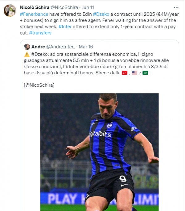 dzeko-fenerbahce-nicolo