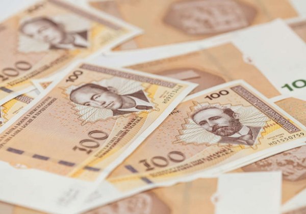 novac-ilustracija-11