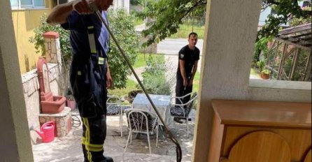 Mostarski vatrogasci uklonili zmiju iz porodične kuće 