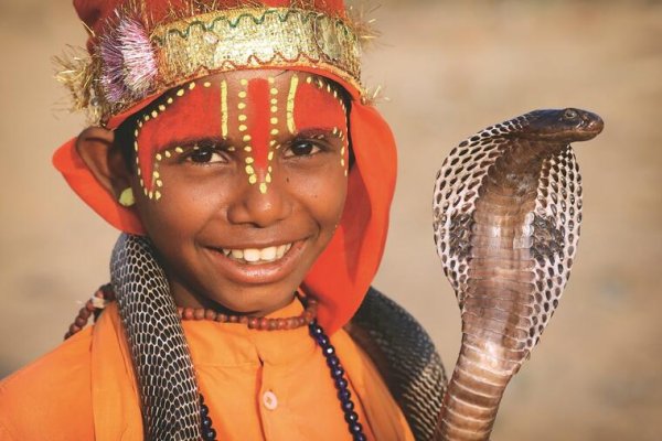 327241-deca-ni-u-skoli-ne-mogu-bez-svojih-ljubimaca-stockphotopushkarindianovemberunidentifiedgypsysnakecharmeratthepushkarcamelfair1334263457-ls