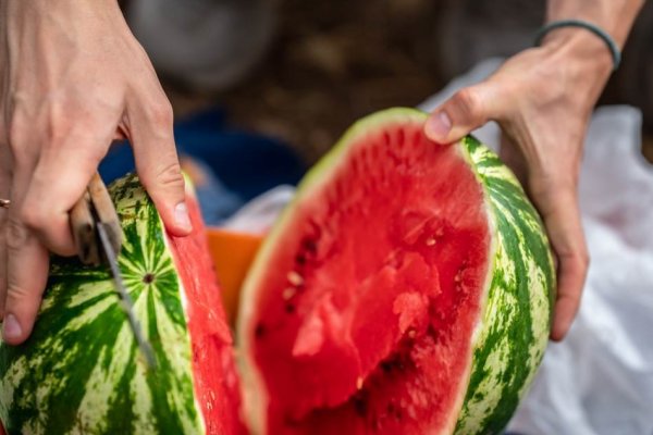 NAJSLAĐA NIJE ONA NAJSAVRŠENIJA! Baka Jela na pijaci naučila TRIK GODINE – proizvođači joj otkrili tajnu kako da izabere NAJSOČNIJU LUBENICU