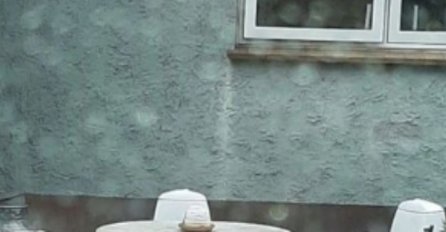 Prizor iz nečijeg dvorišta obišao je cijelu regiju: POGLEDAJTE ŠTA SE NALAZI ISPRED KUĆE - morat ćete dobro protrljati oči kad vidite fotku