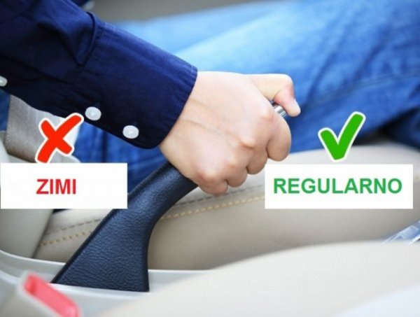 61b79953-e3a4-4319-b894-457f0a0a0a6a-5b044b9b-1a14-4c65-93c3-02430a0a0a67-10-previeworg-previeworg