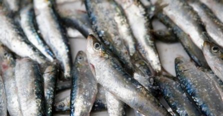 SARDINE OVE MARKE POVLAČE SE SA TRŽIŠTA: Evo gdje su se sve prodavale, mogu da budu OPASNE po ovu grupu ljudi