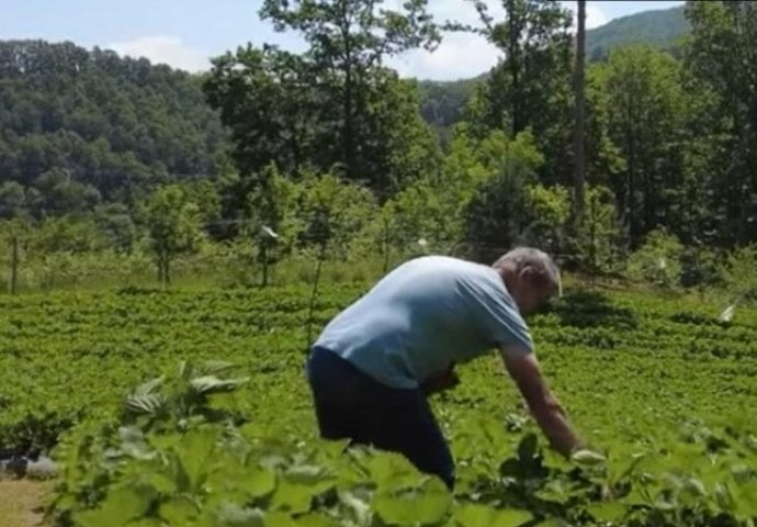 OSMAN GODINAMA ŽIVIO OD KORNIŠONA, SADIO I BRAO, A ONDA PREŠAO NA OVU VOĆKU! Otad digli dvije kuće, a kolika mu je zarada nije krio