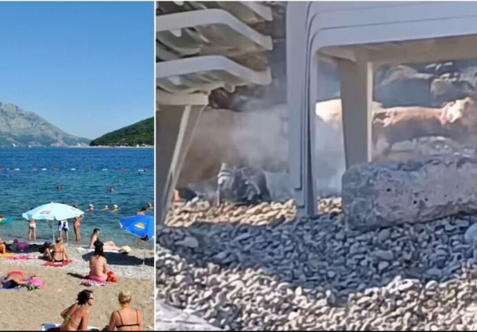 Šok na popularnoj jadranskoj plaži: POGLEDAJTE ŠTA JE SNIMLJENO IZA LEŽALJKI (FOTO)