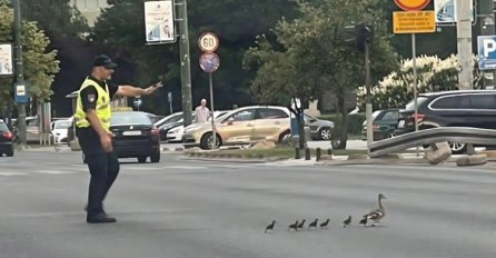 Fotografija dana: Sarajevski policajac zaustavio saobraćaj zbog slatke porodice