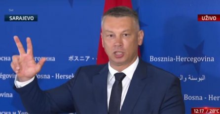 Nešić: Konaković nije od pomoći državljanima BiH u Gazi