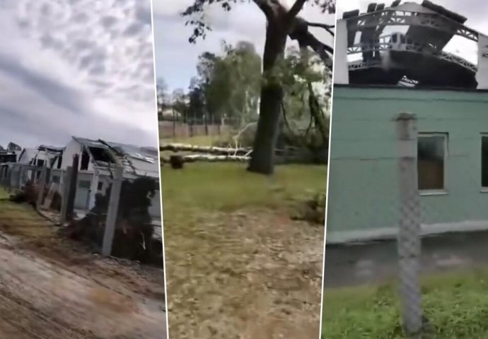 PRVA ŽRTVA SUPERĆELIJSKE OLUJE U SLOVENIJI! Mlađa žena poginula na Bledu tokom stravičnog nevremena, PALO DRVO NA NJU