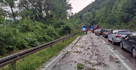 Oprez za vozače: Zbog nevremena moguće da će se na putu naći polomljeno granje i lišće