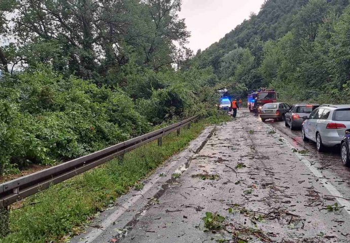 Oprez za vozače: Zbog nevremena moguće da će se na putu naći polomljeno granje i lišće