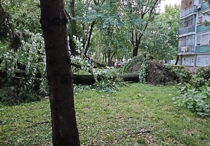 GRAD ZAGREB JUTROS POSLAO UPOZORENJE GRAĐANIMA: Nakon jučerašnje strašne oluje, poslali upozorenje