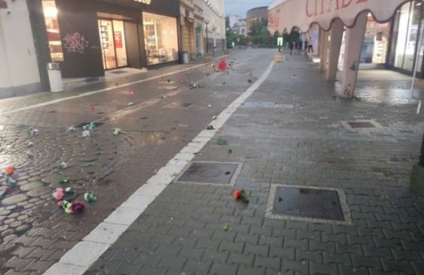 00cb00d6-397f-4e8f-ac19-fbb4d3e27f2d