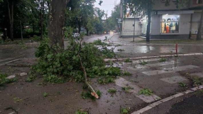 65a75ac7-550a-4fc9-bc78-b7876faa7049