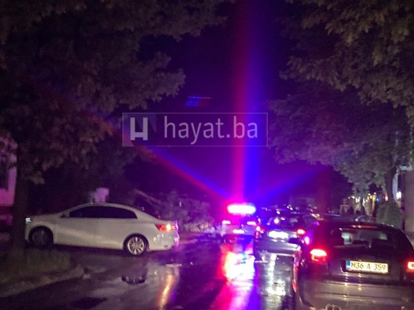 stablo-gras-hayat-2107-a