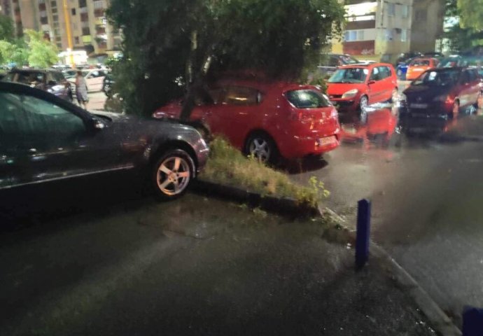 Drvo palo na automobil u Tuzli: Vjetar nosi sve pred sobom, pogledajte kako munje paraju nebo (VIDEO)