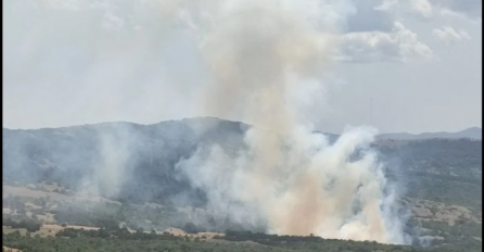 Vjetar razbuktao vatrenu stihiju u BiH: Izbio veliki požar, vatrogasci na terenu