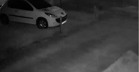 Medvjed na kapiji porodične kuće kod Bihaća, građani u strahu (VIDEO)