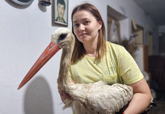 Par iz okoline Zaječara spasio rodu povrijeđenu u olujnom nevremenu