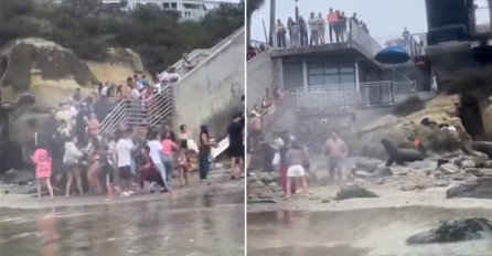 BIJESNE MORSKE ZVIJERI JURILE KUPAČE! Horor na poznatoj plaži, isplivao i snimak - ljudi vrište i gaze jedni preko drugih