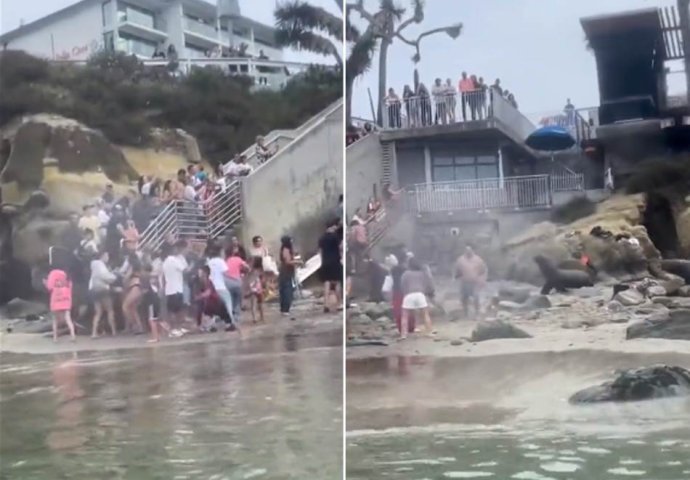 BIJESNE MORSKE ZVIJERI JURILE KUPAČE! Horor na poznatoj plaži, isplivao i snimak - ljudi vrište i gaze jedni preko drugih