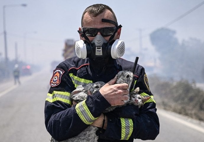 Vatrogasac na Rodosu iz vatre spasio dva preplašena zeca i mačića, u naručju ih odveo na sigurno