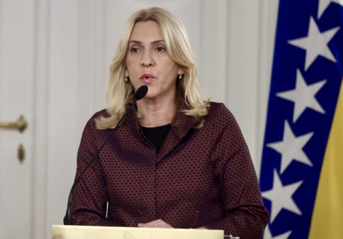 “Gospođo Cvijanović, zar vam riječi ‘Nek’ smo vas pobili’ ne bude osjećaj srama”