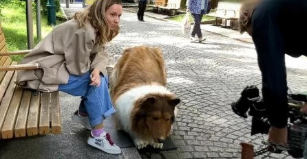 Potrošio gotovo 13.000 eura kako bi postao pas, evo kako sada izgleda (VIDEO)