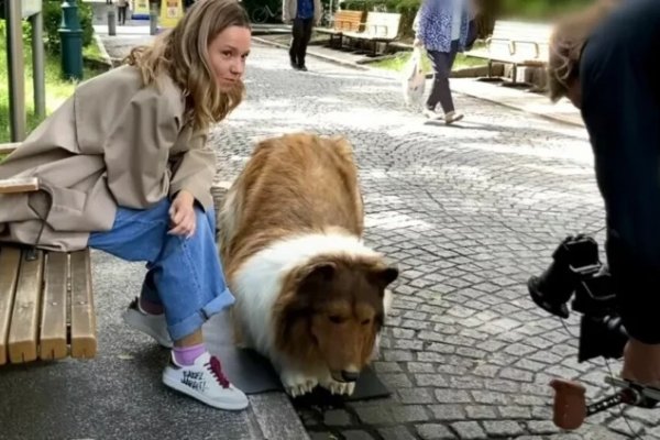 Potrošio gotovo 13.000 eura kako bi postao pas, evo kako sada izgleda (VIDEO)