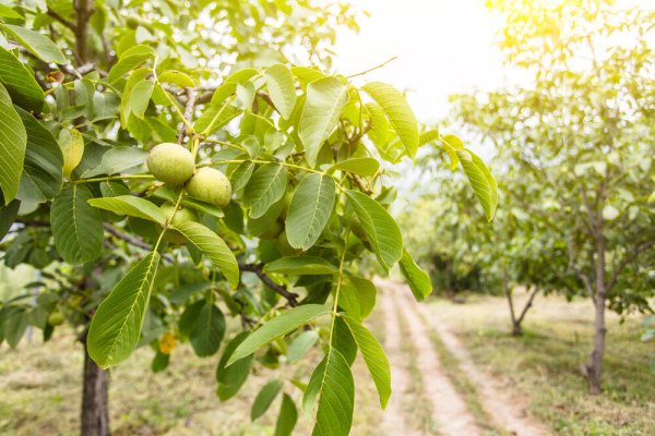 245017-shutterstock-756140341-ff 245017-shutterstock-756140341-ff