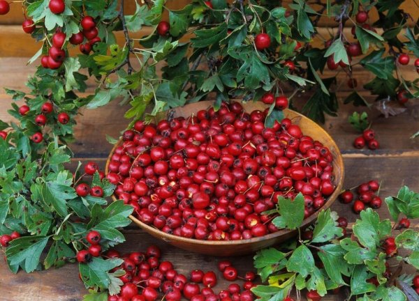 299727-profimedia0131858706-ff 299727-profimedia0131858706-ff