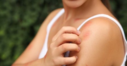 Posadite ove biljke i OTJERAT ĆETE KOMARCE: Ne prilaze vašem vrtu