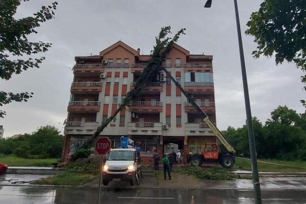 OGROMNO STABLO SE SRUČILO NA ZGRADU U PANČEVU: Nevrijeme prouzrokovalo haos, DRAMATIČNI PRIZORI! U toku akcija uklanjanja (VIDEO)