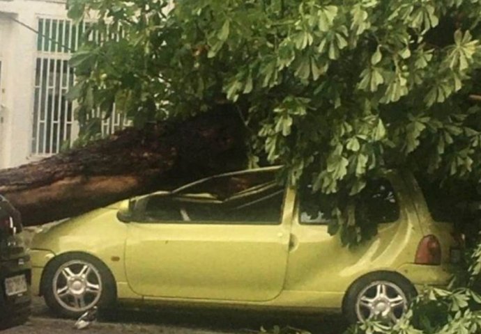 KATASTROFALNI PRIZORI U SRBIJI - DRVO SMRSKALO AUTOMOBIL: Ljudi u panici, a evo ko će da plati štetu ako vam se to desi!