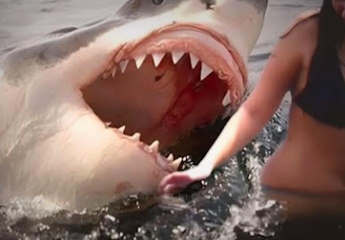 HOROR NA ČUVENOJ PLAŽI Ajkula ujela ženu za nogu dok je plivala - turisti HITNO evakuisani (VIDEO)