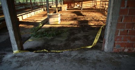 SAZNALI DA JE MONSTRUM U NJIHOVOJ OKOLINI: Evo ko je policiji javio gdje se krio Nermin Sulejmanović