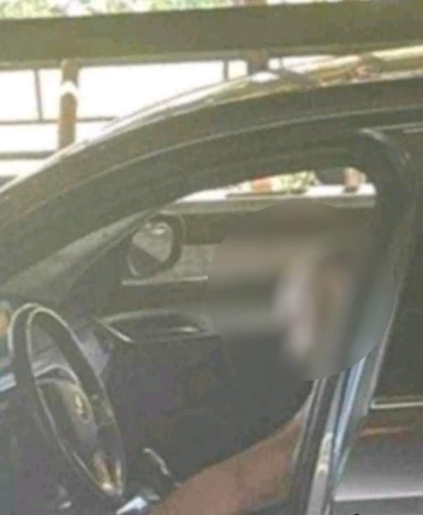 22a41cbe-f4fc-4a43-815b-383249cbda70